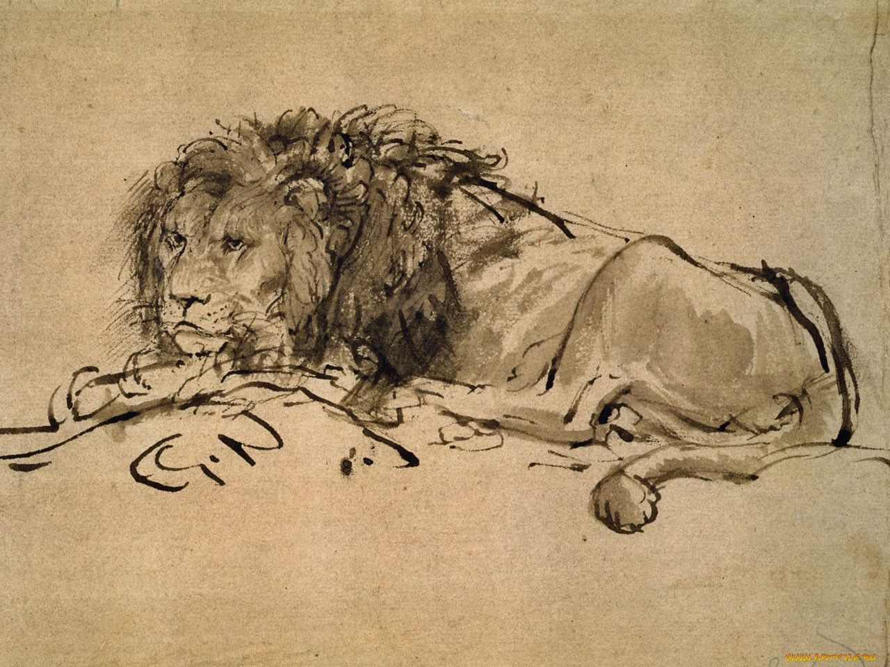, rembrandt, van, rijn